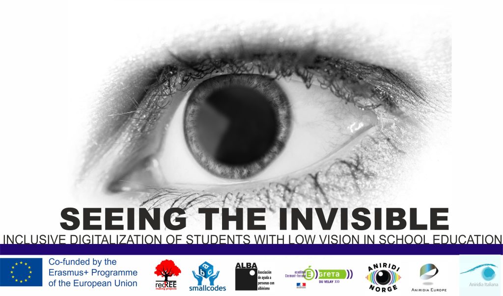 image containing the title of the Seeing the invisibile project and the participants' logos